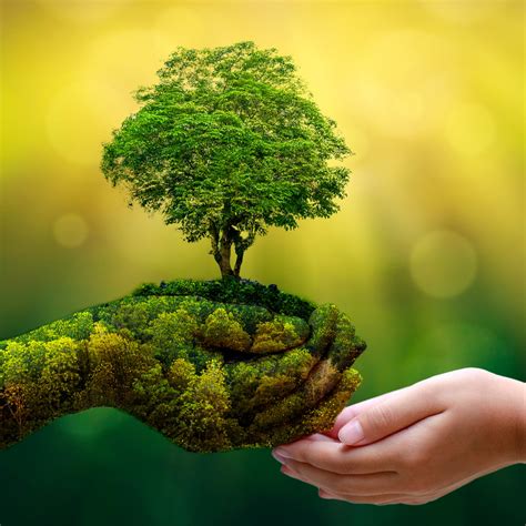 of Environment and Natural Resources.